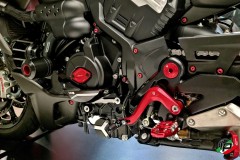 CNC Racing Schutz Lichtmaschinendeckel Ducati Diavel V4