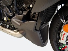 Ducabike Carbon Bugspoiler Ducati Diavel V4
