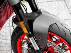 Ducabike Carbon Kotflgel vorne Ducati Monster 937
