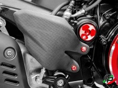 Ducabike Schraubenset fr den Rechten Fersenschutz der Ducati Diavel V4