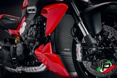 Evotech Performance Khlergitter Wasserkhler Ducati Diavel V4